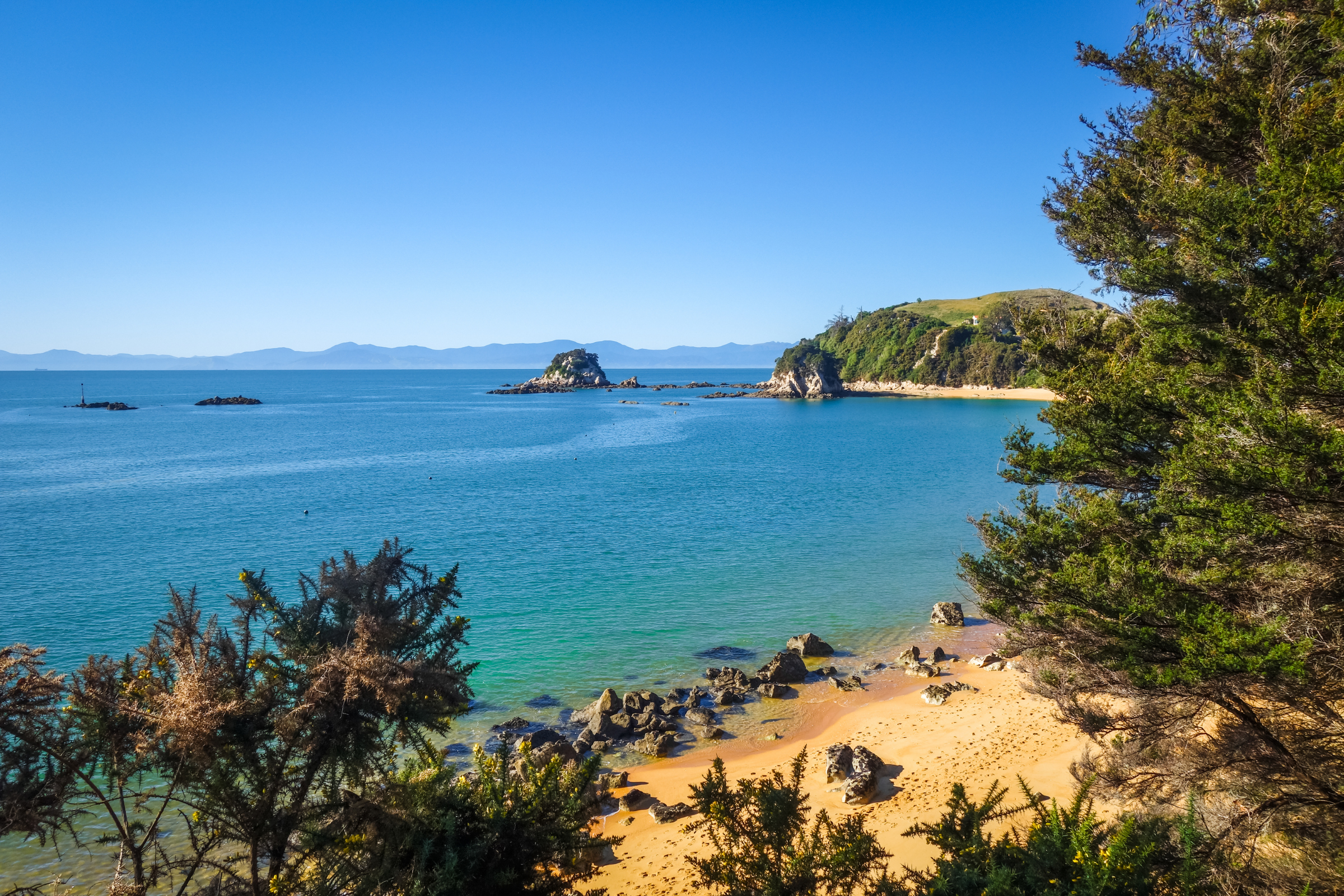 111 abel tasman national park.webp